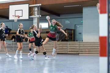 Bild 133 - wBJ HSG Kremperheide/Muensterdorf - HSG Joerl-Doppeleiche Vioel : Ergebnis: 34:23